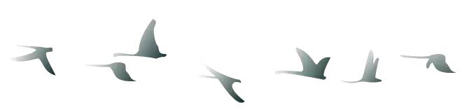 中秋佳節(jié) ▎有態(tài)度、有溫度， 一份堅(jiān)守是最誠(chéng)摯的祝福！